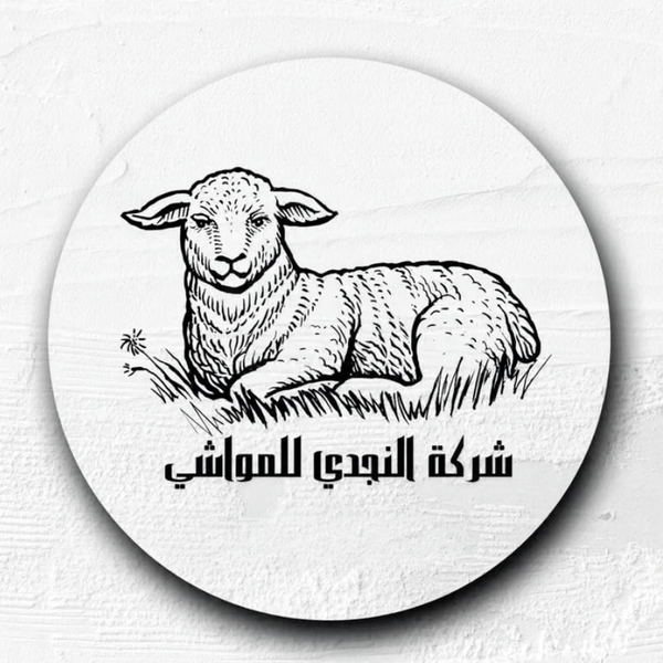 Al Najdi Sheep